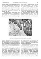 giornale/CFI0361052/1943/unico/00000097