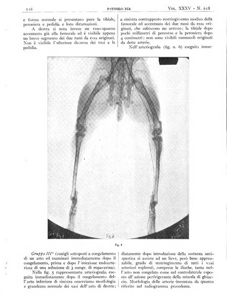 Pathologica rivista quindicinale