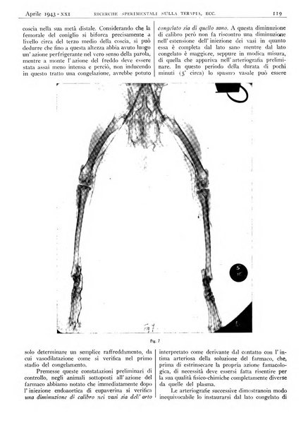 Pathologica rivista quindicinale