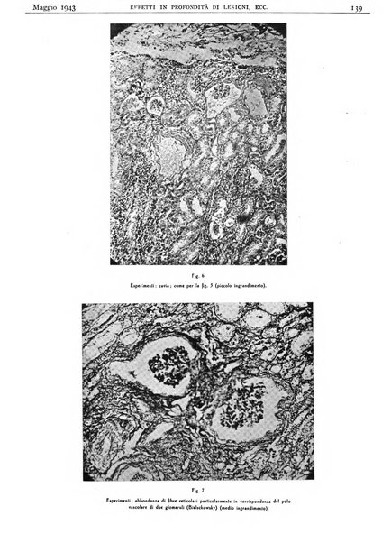 Pathologica rivista quindicinale