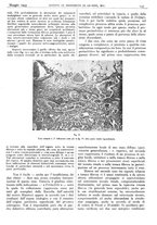 giornale/CFI0361052/1943/unico/00000177