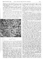 giornale/CFI0361052/1943/unico/00000255