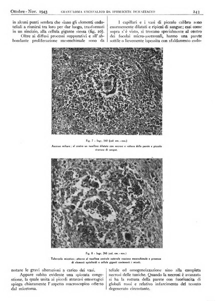 Pathologica rivista quindicinale