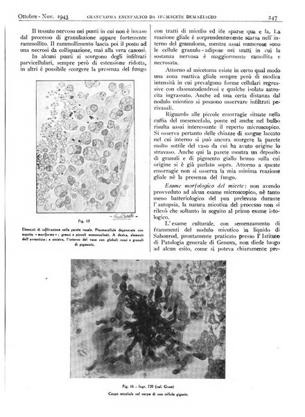 Pathologica rivista quindicinale