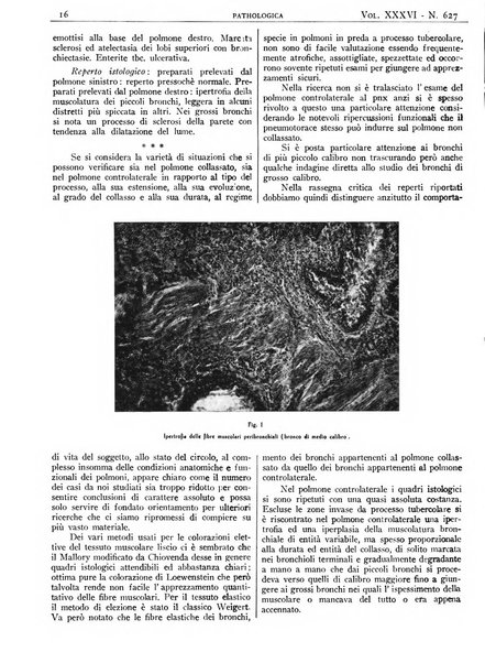 Pathologica rivista quindicinale