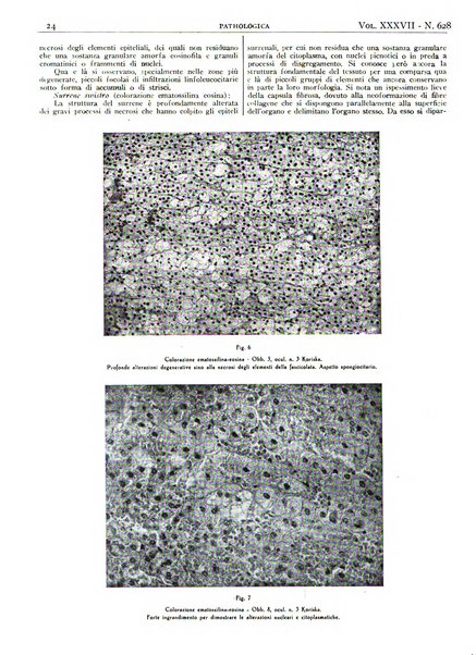 Pathologica rivista quindicinale