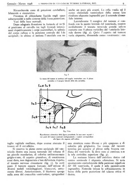 Pathologica rivista quindicinale