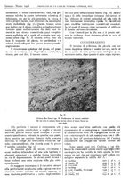 giornale/CFI0361052/1946/unico/00000017