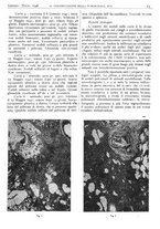 giornale/CFI0361052/1946/unico/00000027