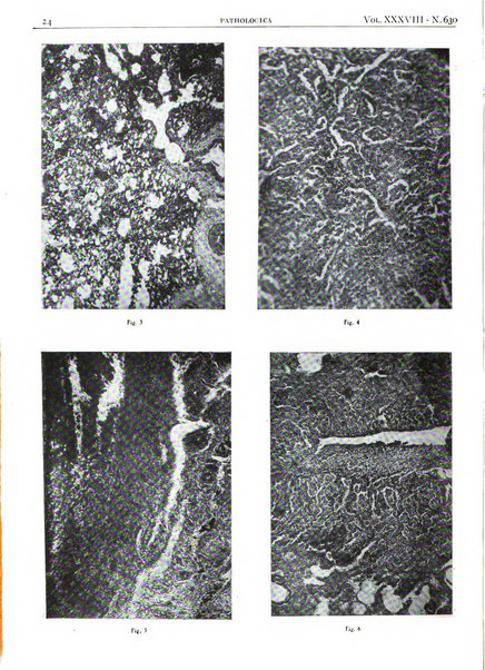 Pathologica rivista quindicinale