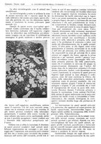 giornale/CFI0361052/1946/unico/00000029