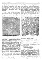 giornale/CFI0361052/1946/unico/00000033