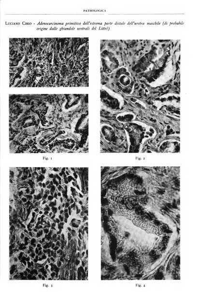 Pathologica rivista quindicinale