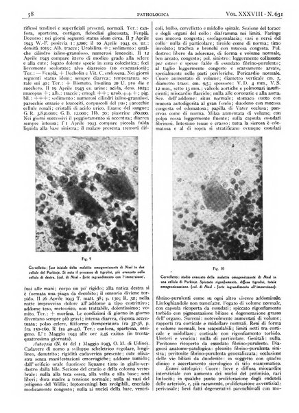 Pathologica rivista quindicinale