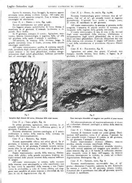 Pathologica rivista quindicinale