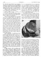 giornale/CFI0361052/1946/unico/00000128