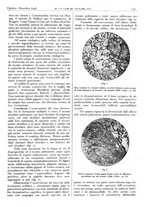 giornale/CFI0361052/1946/unico/00000147