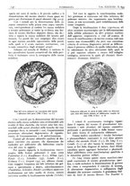 giornale/CFI0361052/1946/unico/00000148