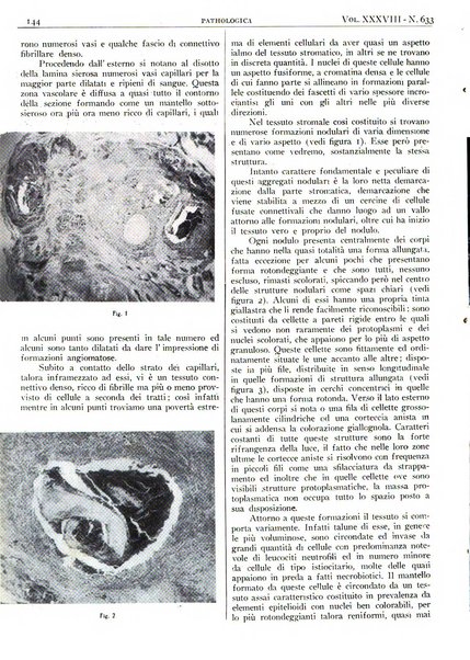 Pathologica rivista quindicinale