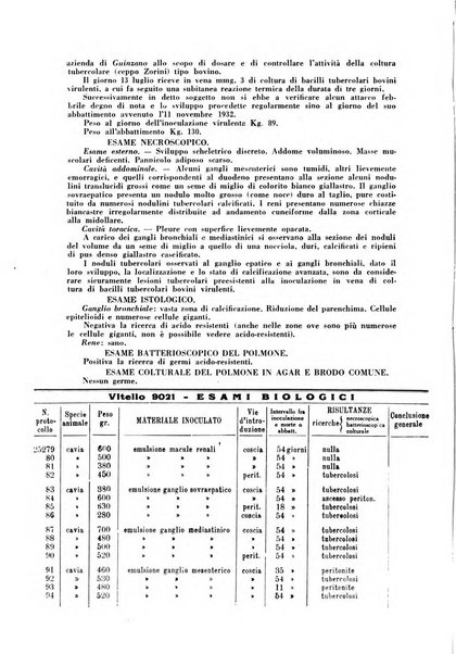 Patologia comparata della tubercolosi