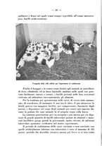 giornale/CFI0361054/1935/unico/00000036