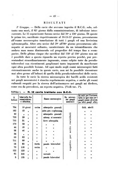 Patologia comparata della tubercolosi