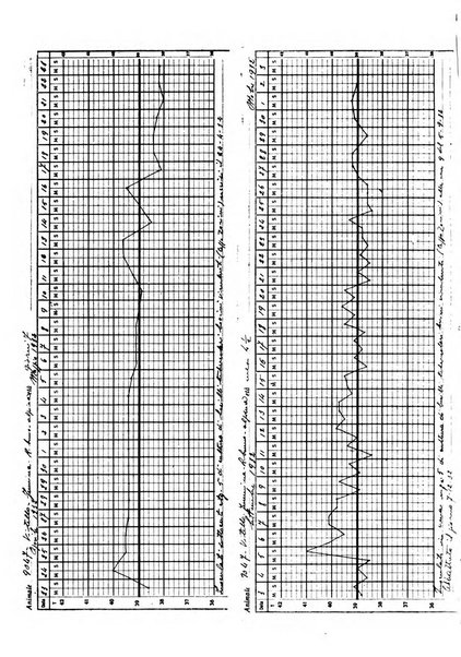 Patologia comparata della tubercolosi