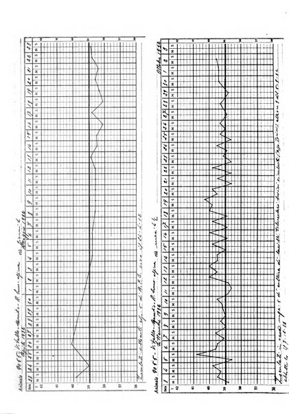 Patologia comparata della tubercolosi