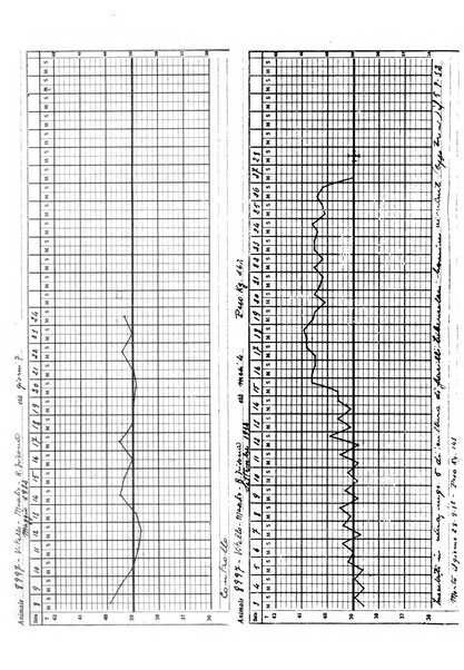 Patologia comparata della tubercolosi