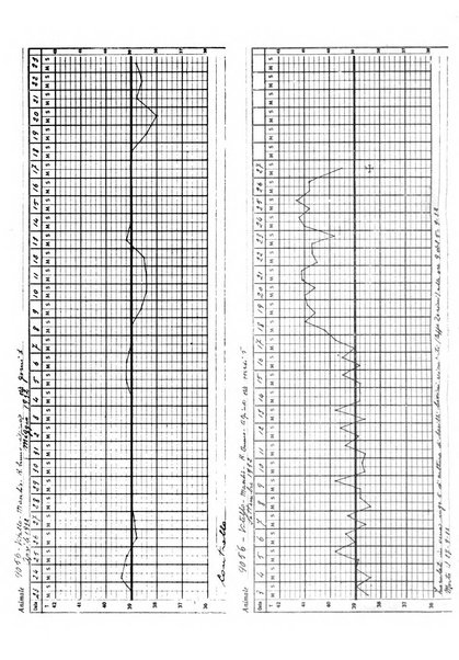 Patologia comparata della tubercolosi