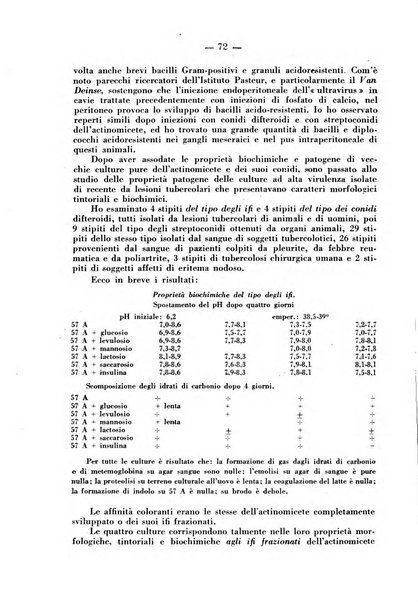 Patologia comparata della tubercolosi