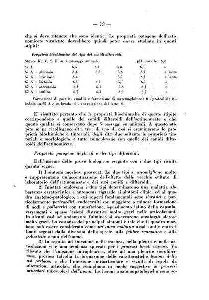 Patologia comparata della tubercolosi