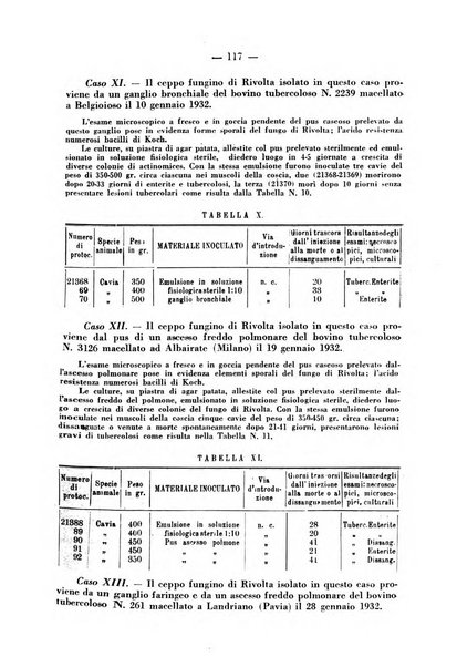 Patologia comparata della tubercolosi