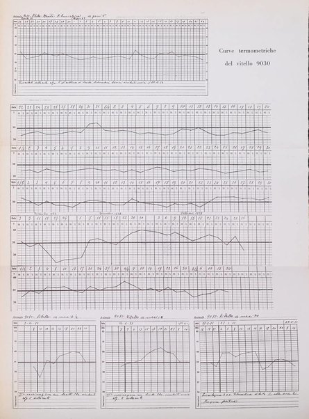 Patologia comparata della tubercolosi