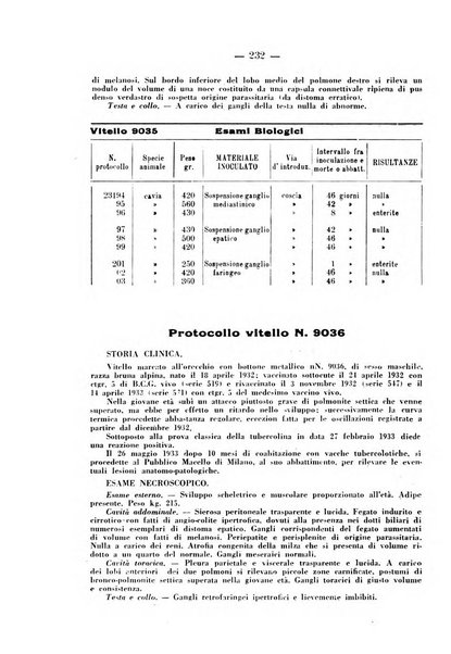 Patologia comparata della tubercolosi