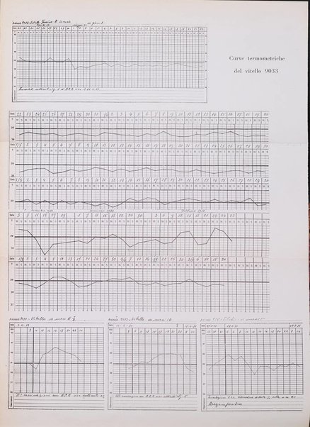 Patologia comparata della tubercolosi