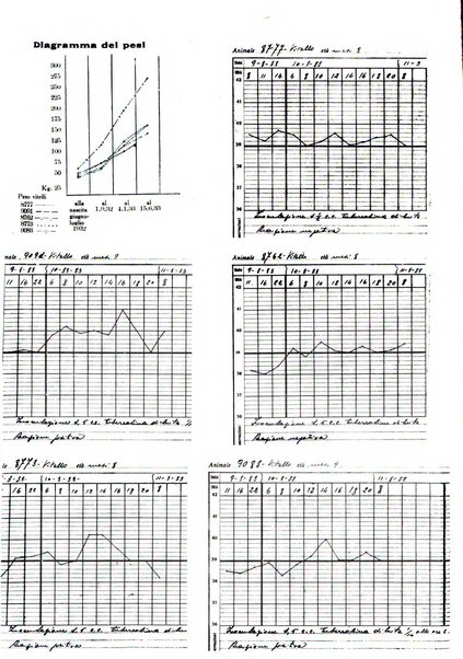 Patologia comparata della tubercolosi