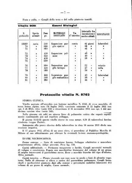 Patologia comparata della tubercolosi