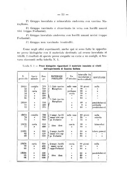 Patologia comparata della tubercolosi