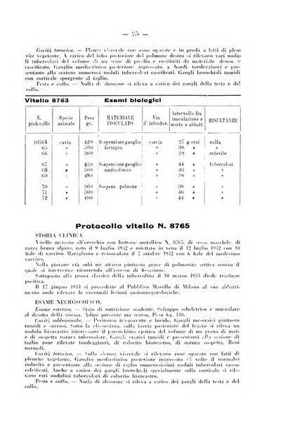 Patologia comparata della tubercolosi