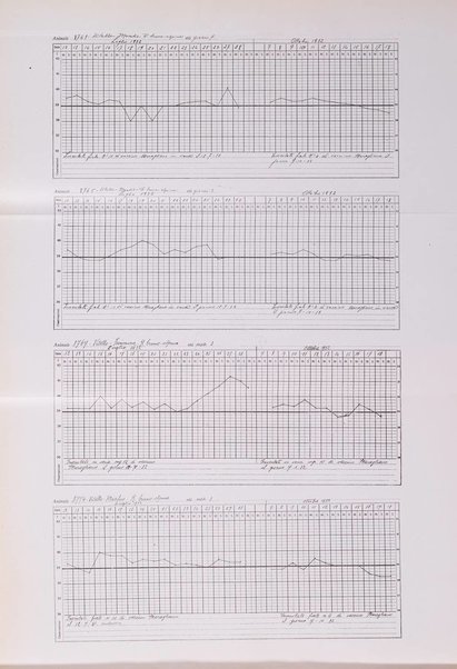 Patologia comparata della tubercolosi