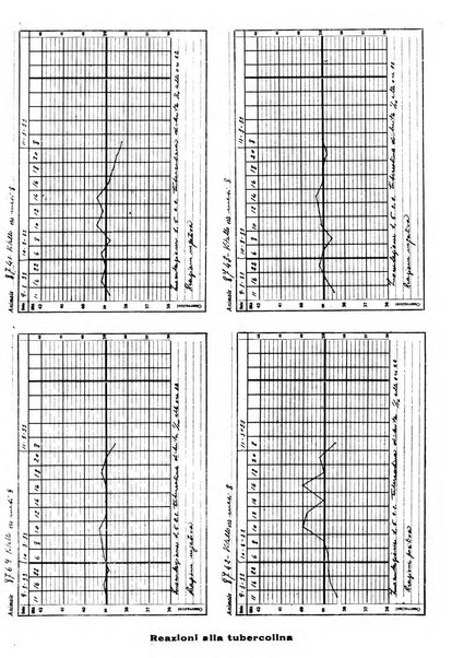 Patologia comparata della tubercolosi