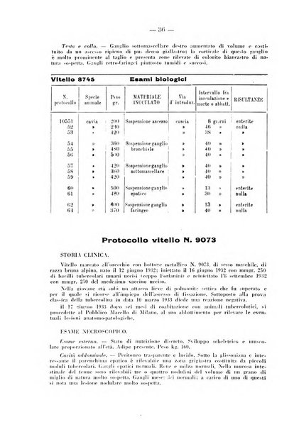 Patologia comparata della tubercolosi