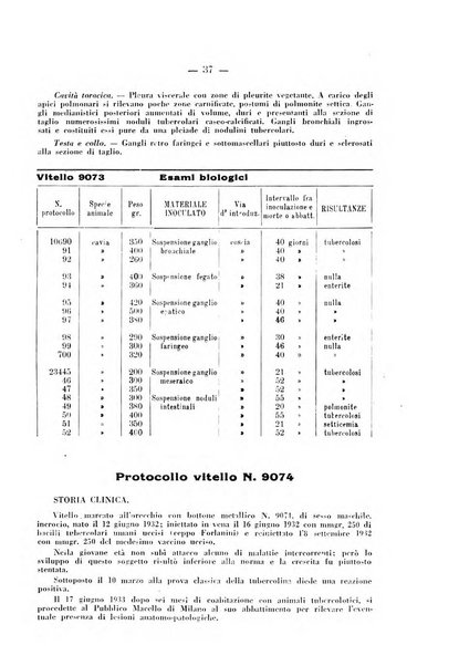 Patologia comparata della tubercolosi