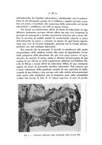 giornale/CFI0361054/1938/unico/00000070