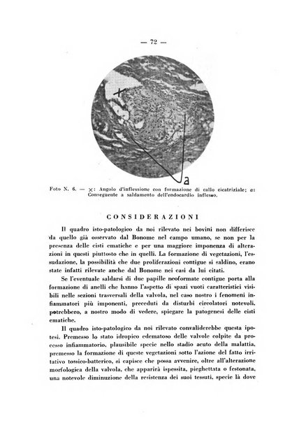 Patologia comparata della tubercolosi