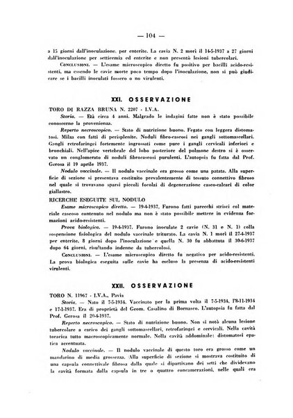 Patologia comparata della tubercolosi