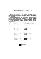 giornale/CFI0361356/1933/unico/00000044