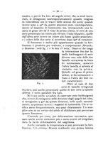 giornale/CFI0361356/1933/unico/00000060