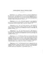 giornale/CFI0361356/1933/unico/00000486